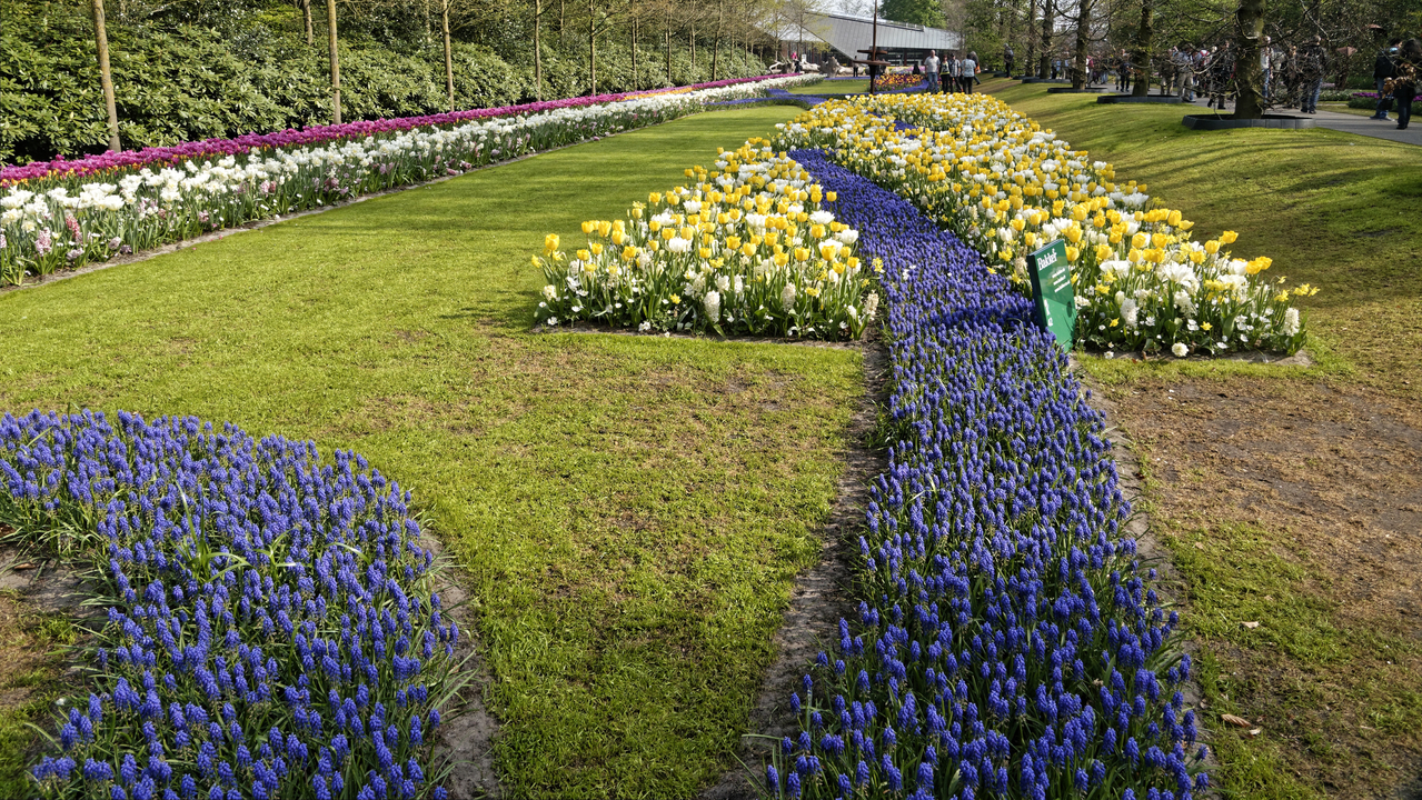 20140423 103037 Keukenhof Gardens, Lisse, South Holland, Netherlands